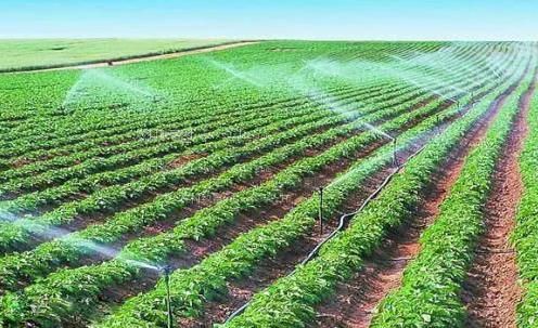 男人操女人B视频农田高 效节水灌溉